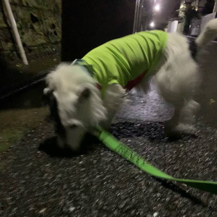 3656a618 3f77 4ca0 ac4e 5f3ad5567a79 1629205985633