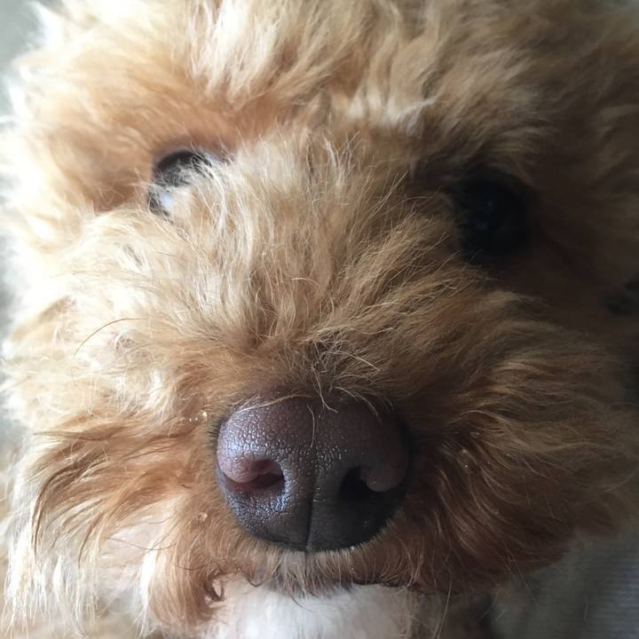 3656cd8c 33d9 4c3e a015 1a20d5b6b3af 1523506676889