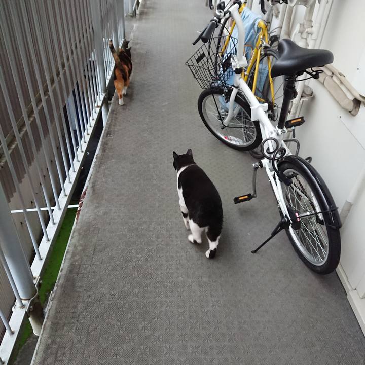 3656e7a3 a7ca 4e66 907b 2d63fc612fe4 1665546145946