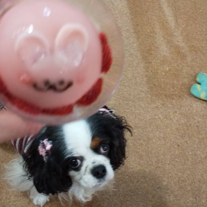 36574564 402f 41aa 9649 b8c973dbc8d7 1555329996813