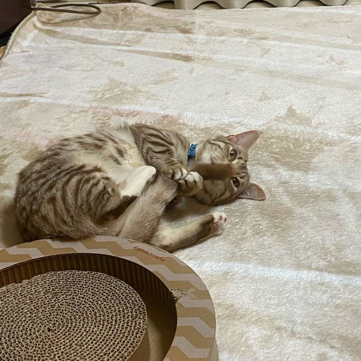 3657b1af af83 4bc9 b710 f8e503b82dbd 1610344304011