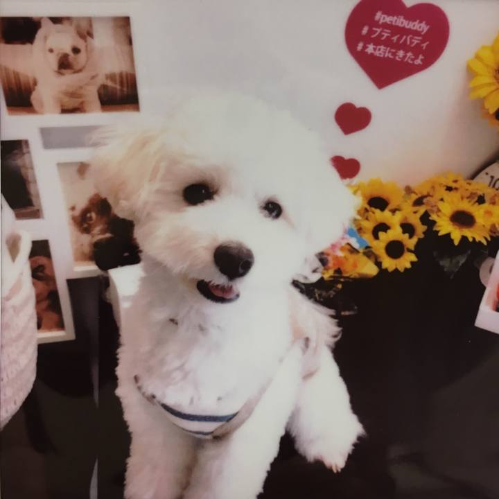 3658015c ef5c 4e93 b344 73c268906a8f 1535548648850