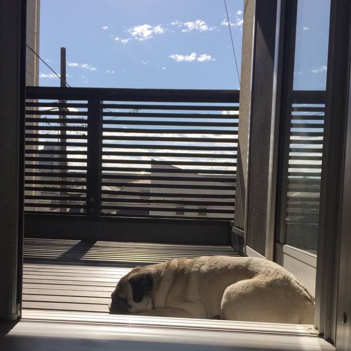 36583f08 67bc 4932 94b7 b19ba05e5e22 1541428459026