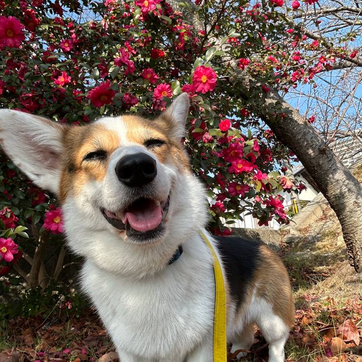 3658632e b6aa 4fe5 ae2a bf8f8b532f42 1768800170774