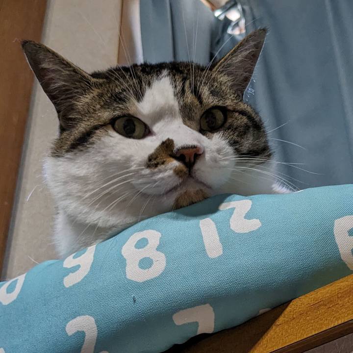 365876c1 249d 4f72 93fc 1ce112b97faf 1717813536799