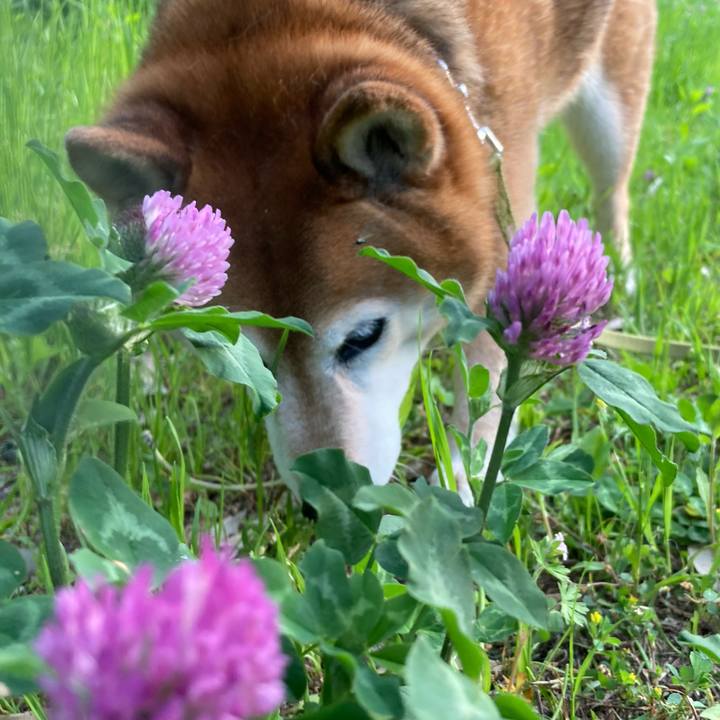 36588536 cad1 48cd 81fa b99bc6048924 1683103826274