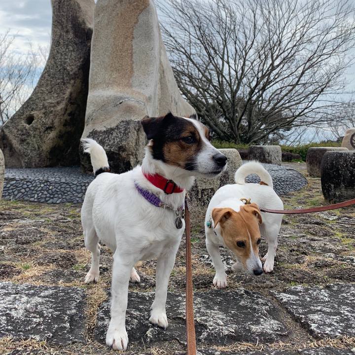 36588c57 0cb5 4dd3 a754 31d7987e85f0 1582955903574