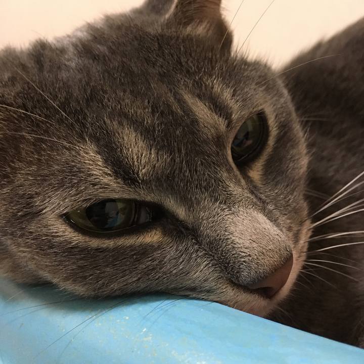 3658995c e67a 45c7 a678 ab3c7c551019 1596808540546