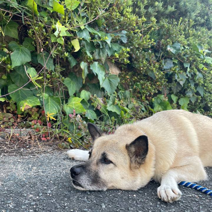 3658aa05 9ae4 4e41 9f68 dc00835d33c7 1660046321671