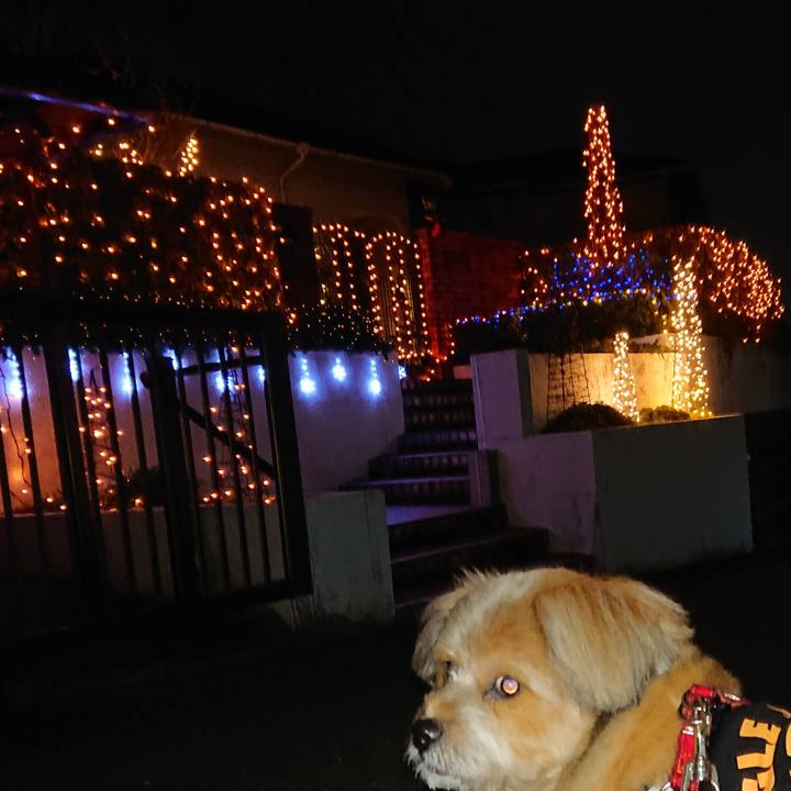 3658e2af b63f 41e1 8333 b22b8725e74a 1605519686597