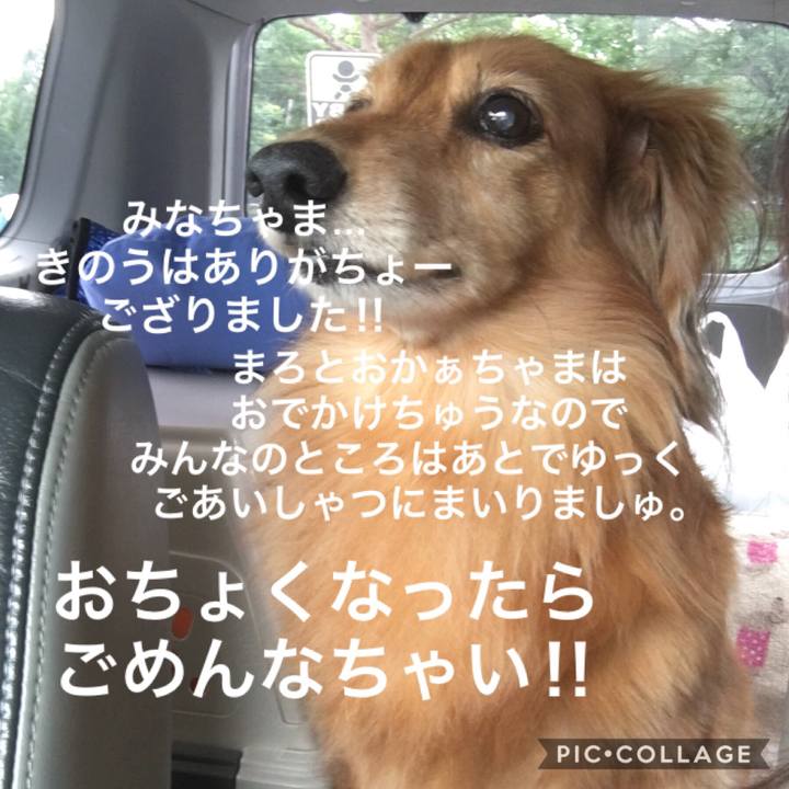 36590d2e 384e 4ab9 a9e4 1f6a39427905 1565617287766