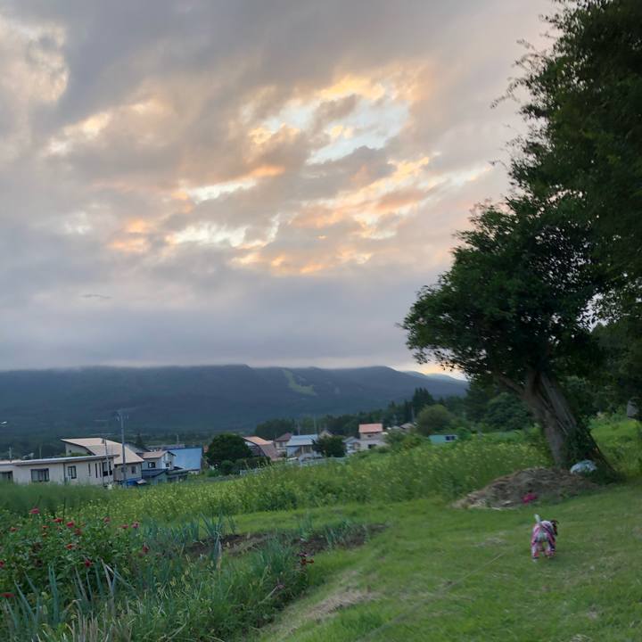 365921e1 53f7 4a8c b287 44f1ee115fec 1566829774216