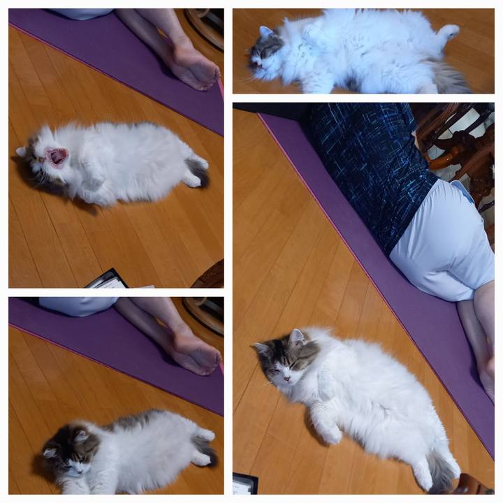 365927fc e0f5 4ca1 a998 c87043aa773c 1690924443442