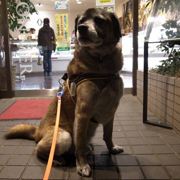 365968da 6dbe 4075 95f1 81c99eb87c3e 1584440411770