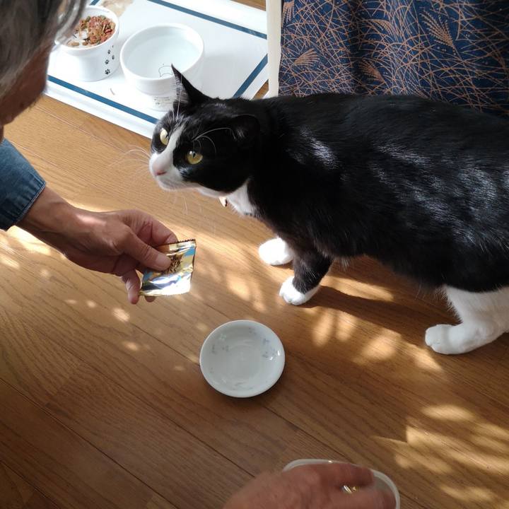 36598fc8 e9bc 437f aae4 4f823c76c624 1572755699343