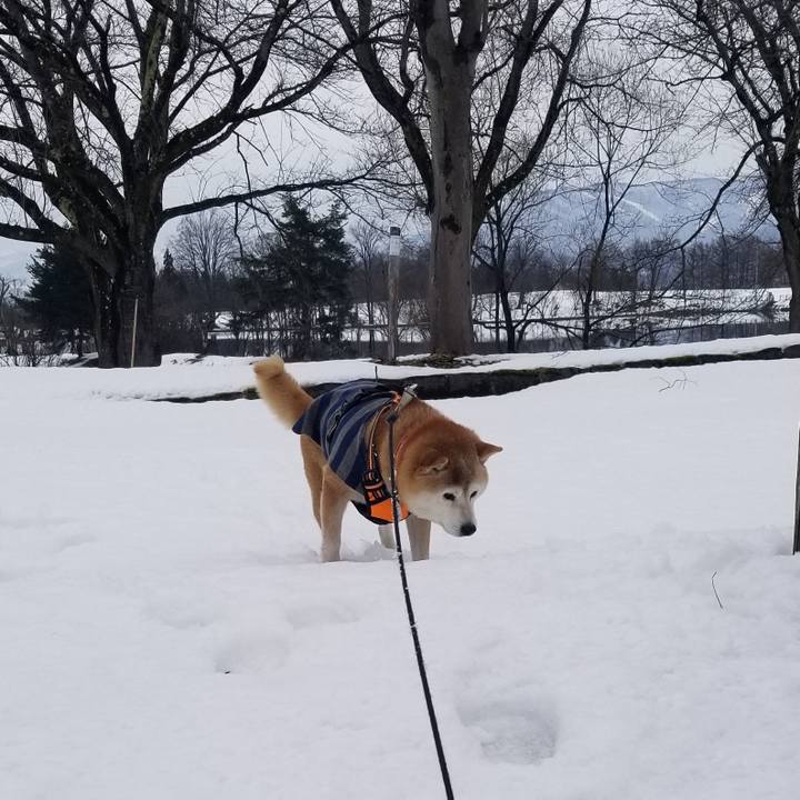 3659924e b54b 45a6 8d31 4090e75dca0b 1709608502097