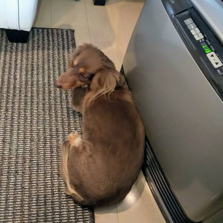 36599ab2 d6fc 47d3 90d3 6e0e5bb16059 1552797866482