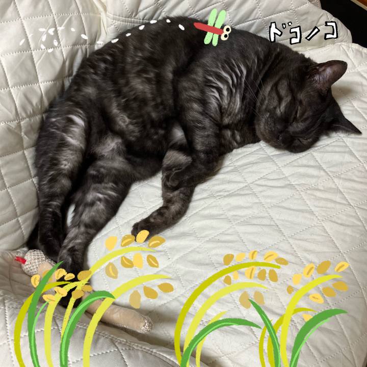 36599e30 7958 4a7c 87cb daedc6c98a97 1761817683006