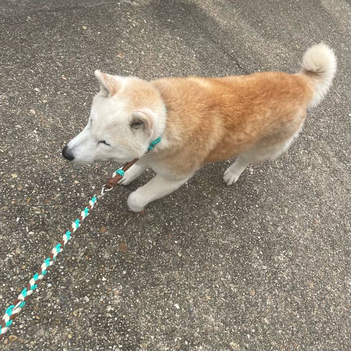 3659a745 2940 455f ba27 fdbd12b9e71e 1684451358283