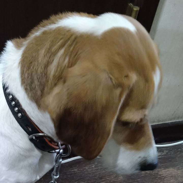 3659accd f138 4a62 8fef 264a6fd7ee4c 1654925799160