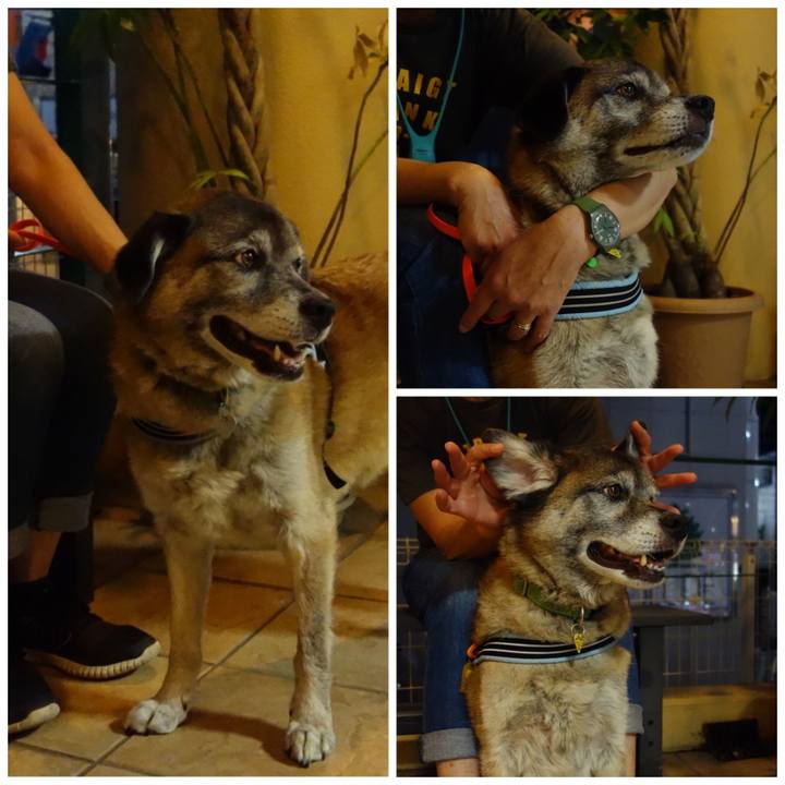 3659b5e1 3545 471d bf9d 044443963d8e 1677289296822