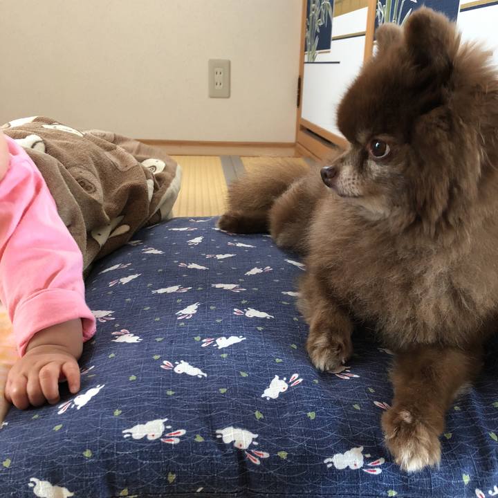 3659c2ad 05e3 45d3 8f84 09817f10e8f8 1569550422739