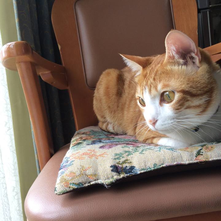 3659d01c 5dda 429e beea b9763d595522 1508030657882