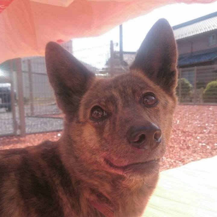 365a3333 df98 4bd2 8d99 3a2ee6a17d6a 1520082902874