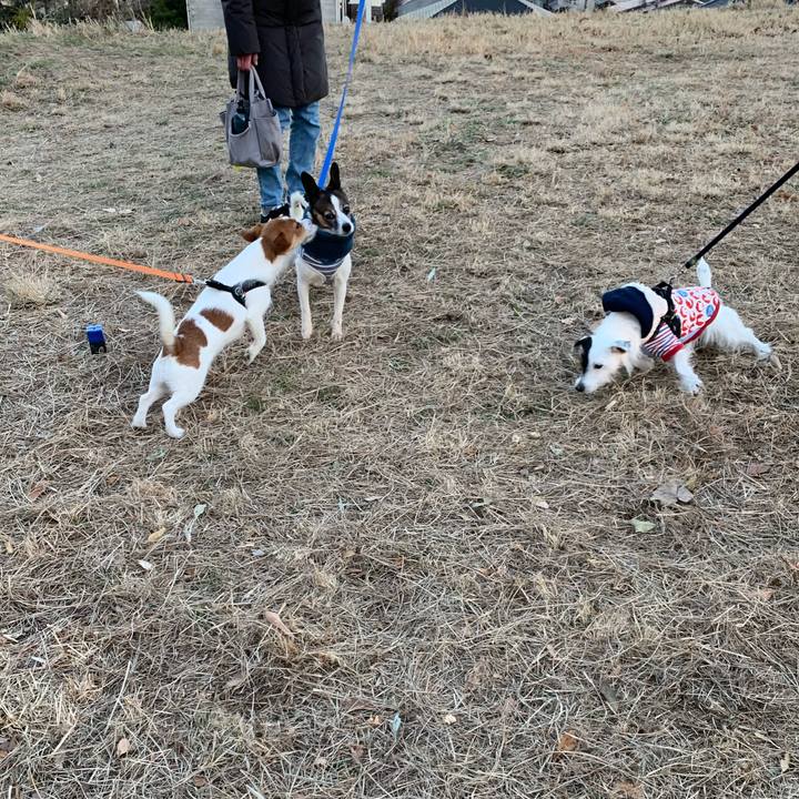 365a4267 3052 4748 9e62 7c6a1c3dca97 1672385934455