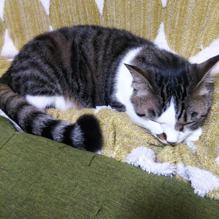 365a4338 a83c 4051 9409 8307adc3b163 1651359241153