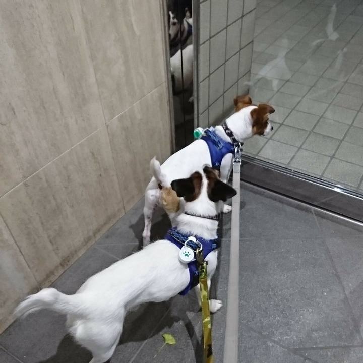 365a7b06 ea44 49a2 84eb 31ef46c626f6 1534419355156