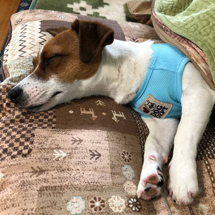 365aa5a7 1683 4716 88af a16831ed9e7d 1526775631614