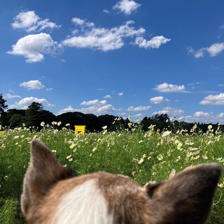 365aa5db 3059 4ded a975 665cae359d62 1729035373934