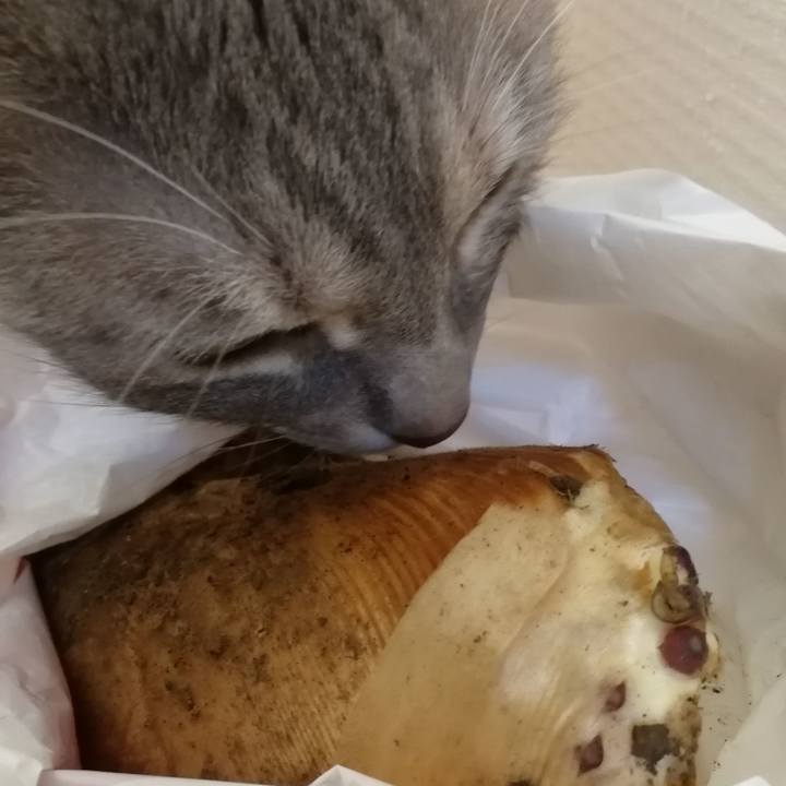 365ab8f1 5f6b 48f2 9432 79047eae108c 1522212924726