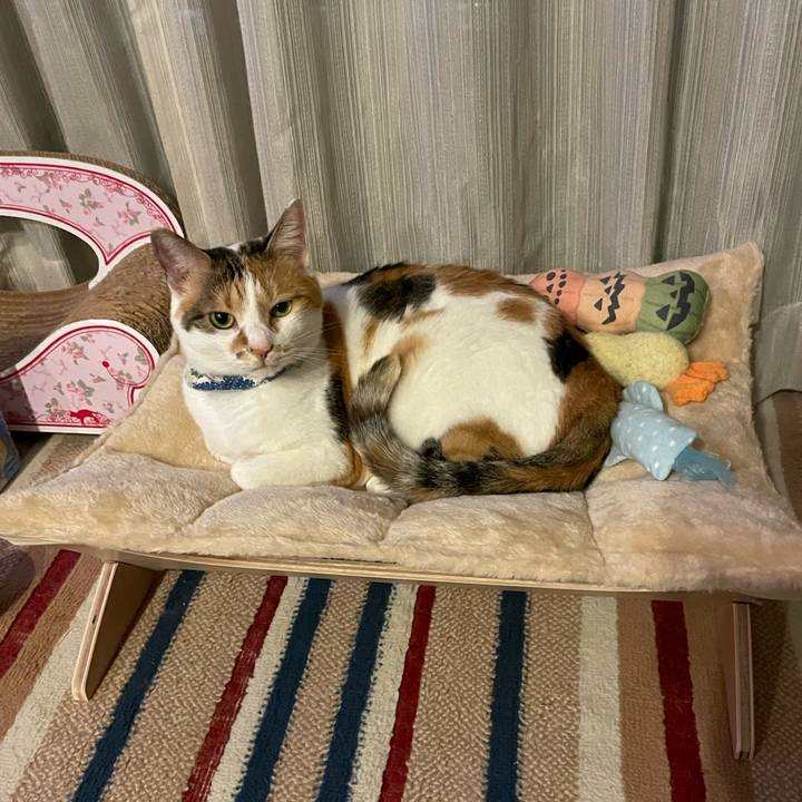 365afc51 45a1 459b 9c0a 1a5de6b5ee6d 1723376442302