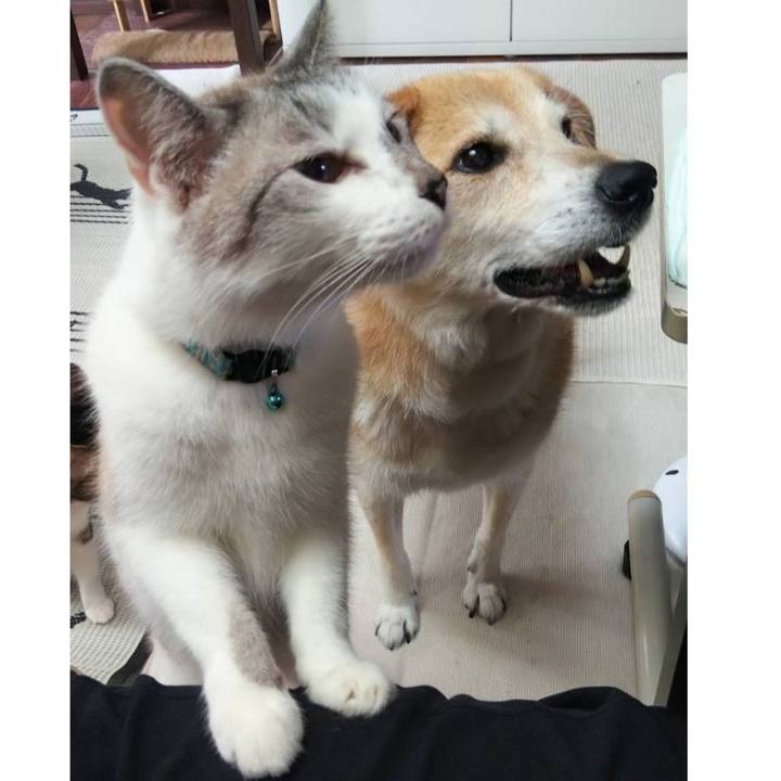 365b420e ff30 4a46 bafd 775fa027b1d3 1595754666590