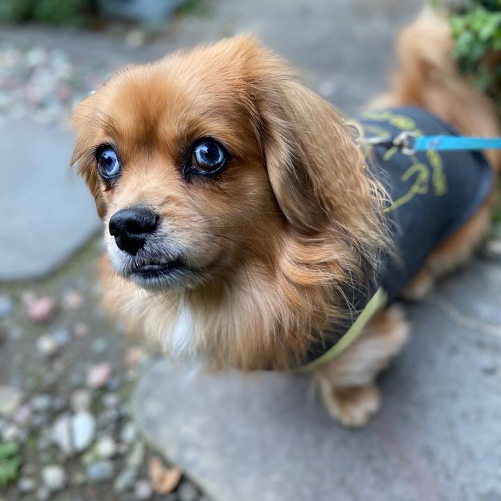 365b5bf5 a34a 45f6 84a1 3ef7a9fa2431 1576885494352