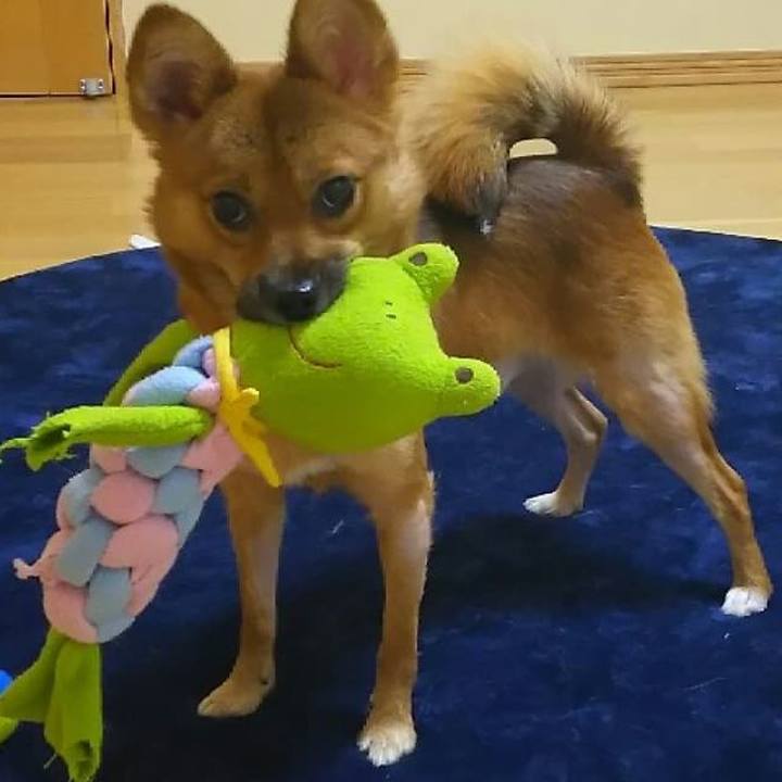 365b67fd 98dc 49ff 8fe4 eca513f4a17c 1528279428643