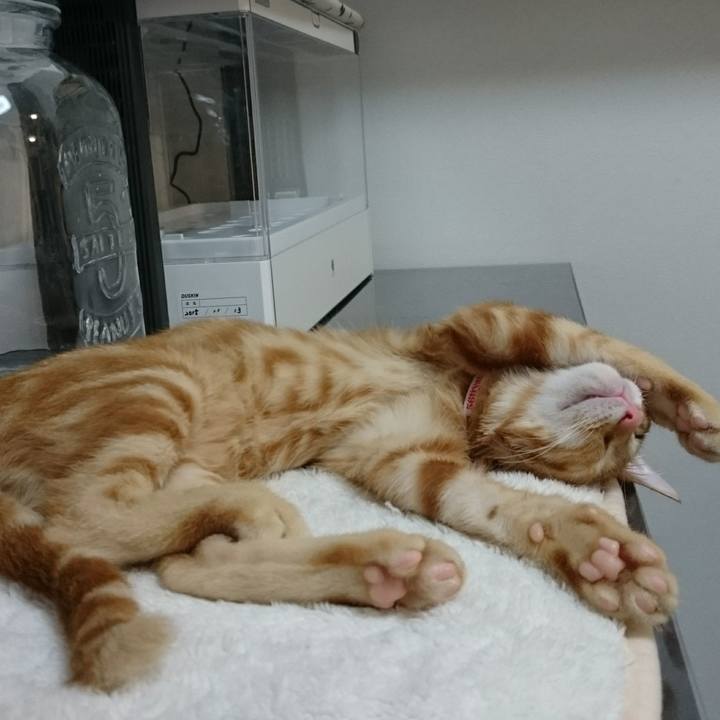 365b857b ad70 47aa ac8a 8d713f1aaec8 1527722033144