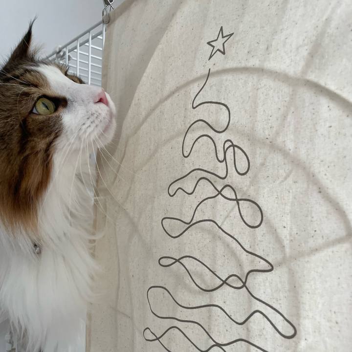 365b88b7 11de 4538 a326 2b4fca69b67d 1668904971737