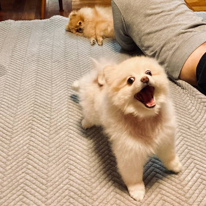 365b94d8 7b3a 447a a391 6f2ae9b79cb1 1696854311805