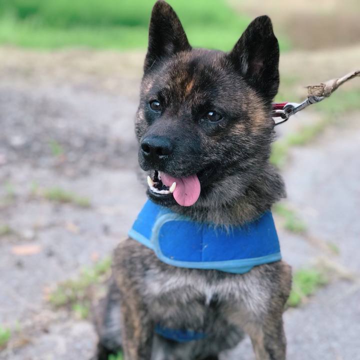 365bd00e 0af4 4c90 a0c7 d2ffd83ac297 1531733110056