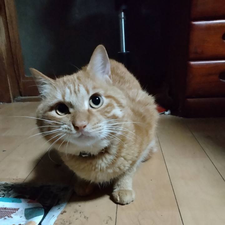 365bd714 ea96 458b 9733 2afdf0f52f43 1669151682166