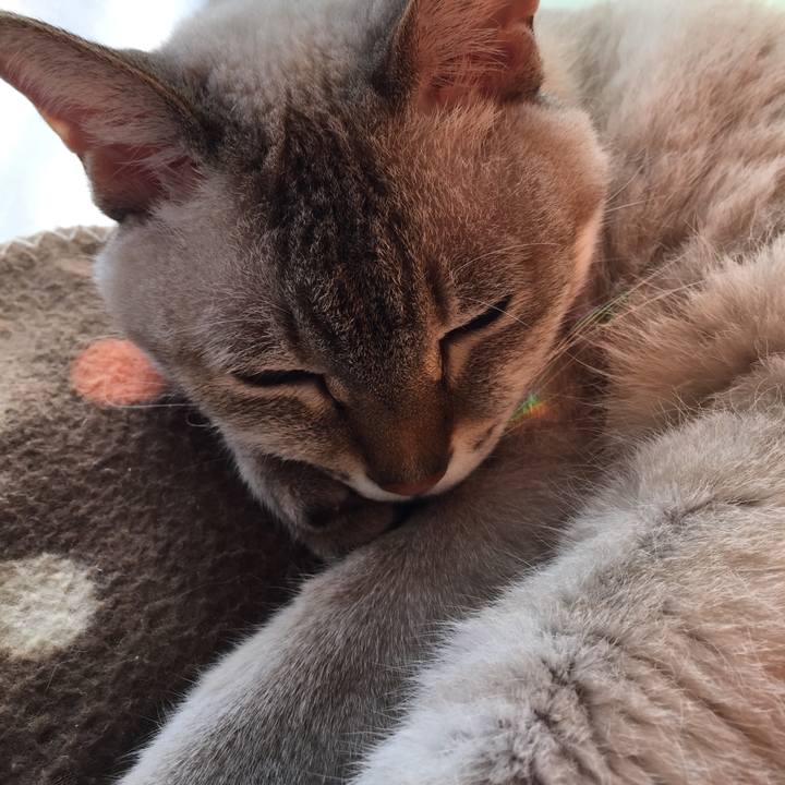 365bf365 5d7b 47a3 967c d461be5976f4 1540011414624