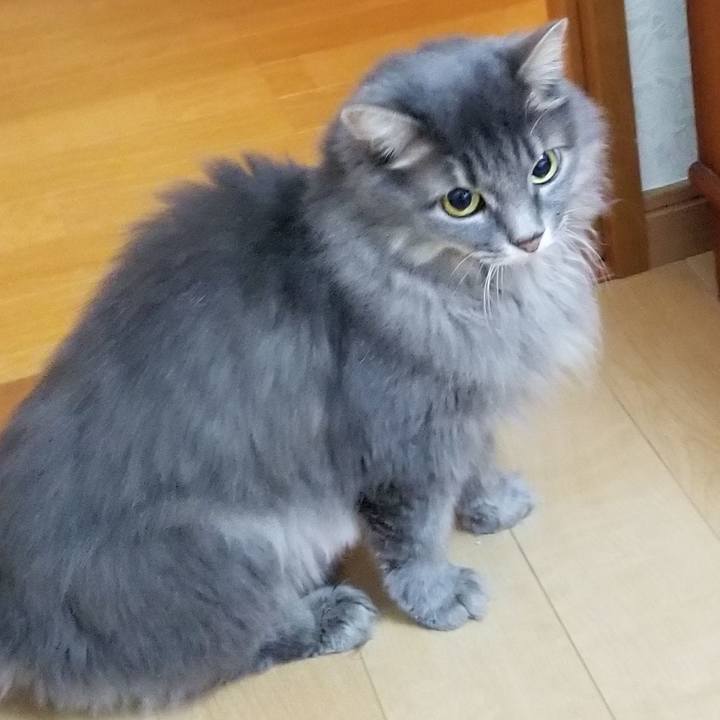 365c0d63 a092 4cce 9569 cb17cd73d1ad 1570840379389