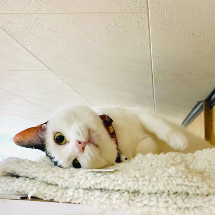 365c4591 bb56 4e34 b46d 3f4b06a8deeb 1683549379083