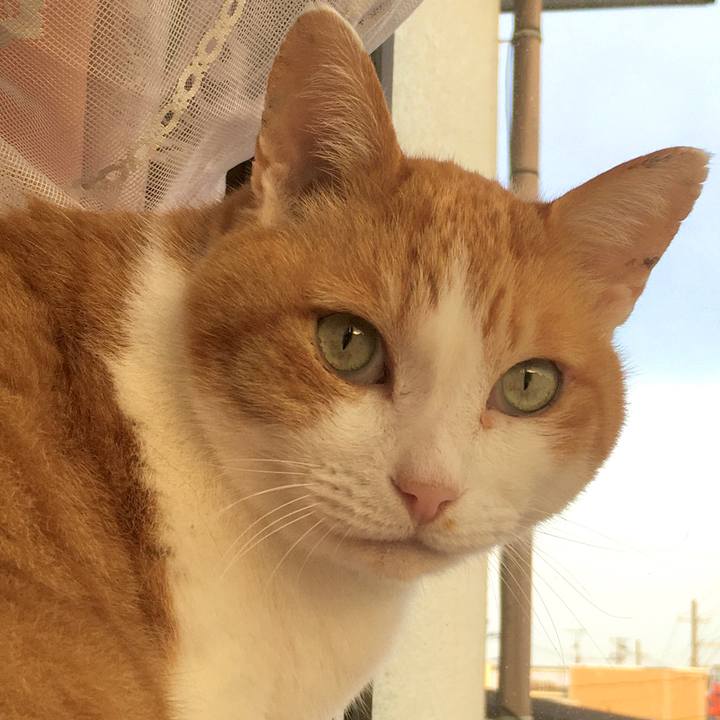 365c4946 5ca5 4922 a8be 3322d96b9661 1585732322560