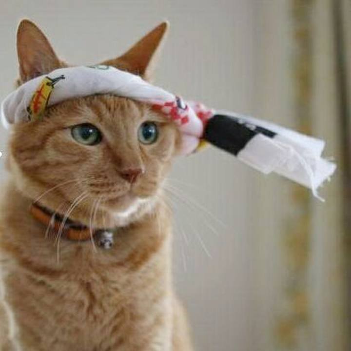 365cd1ea d464 47bf 86da 0f29a1a3b8a6 1543300251634