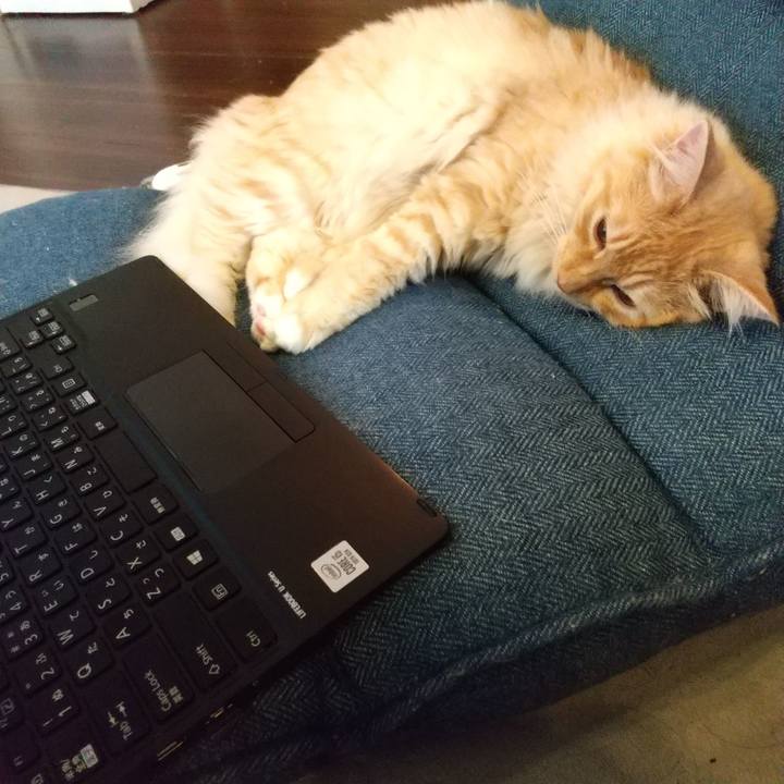 365d0aa5 cf7c 4c45 9e9c ae7d47ab8445 1625117447600