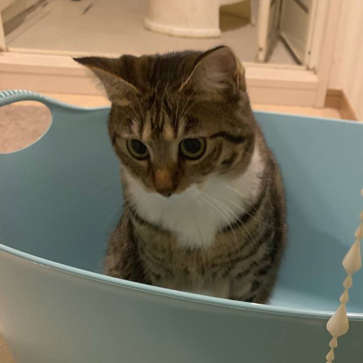 365d26a3 0b19 4301 a657 22bbba164594 1545029053285